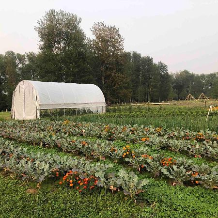 Bodhi Farms Hotel Bozeman Ngoại thất bức ảnh