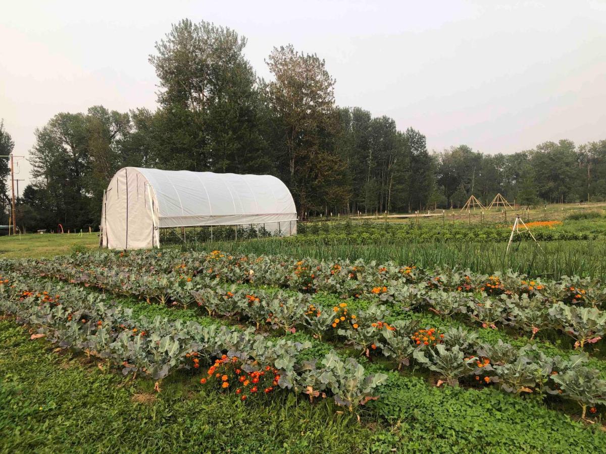 Bodhi Farms Hotel Bozeman Ngoại thất bức ảnh